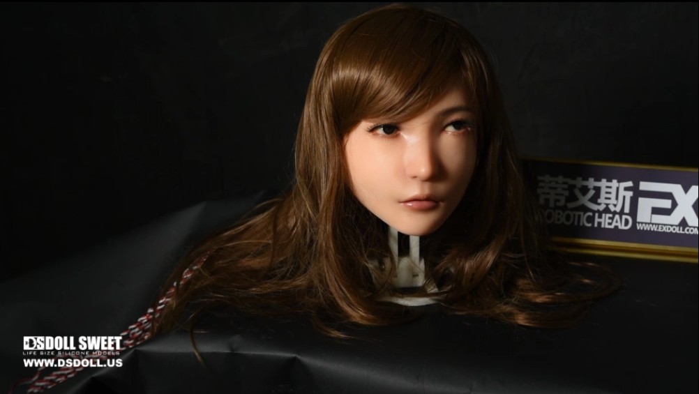 DS robot head